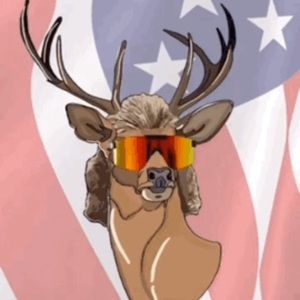 Meet your Posher, Jarrett